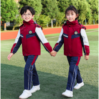 中小学学生高级冲锋衣校服套装