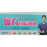 中小学成人儿童益智练习磁性小号国际跳棋