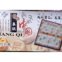 中小学成人儿童益智练习磁性大号中国象棋