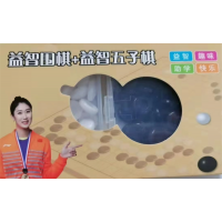 中小学成人儿童益智练习小号精品益智围棋