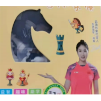 中小学成人儿童益智练习小号精品益智国际象棋