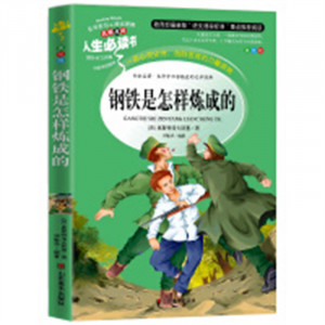 人生必读书--钢铁是怎样炼成的  名著阅读课程化丛书 (中小学生课外阅读指导丛书) 无障碍阅读 彩插励志版 学校图书馆配图1