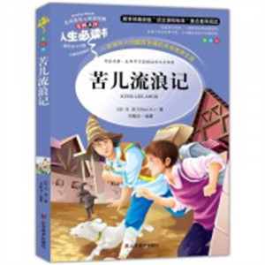 人生必读书--苦儿流浪记 名著阅读课程化丛书 (中小学生课外阅读指导丛书) 无障碍阅读 彩插励志版 学校图书馆配图1