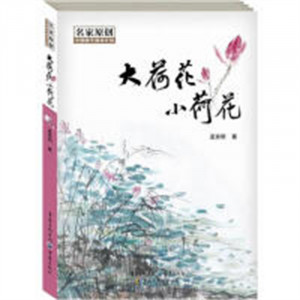 中国孩子阅读计划名家原创：大荷花小荷花（教育部推荐/河南省推荐） 学校图书馆配图1