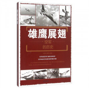 雄鹰展翅：空军的历史  政治军事史 学校图书馆配图1
