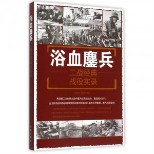 浴血鏖兵：二战经典战役实录  政治军事史 学校图书馆配图1