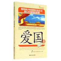 倡导青少年培育社会主义核心价值观的故事--爱国篇（教育部推荐） 学校图书馆配