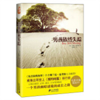 秘境文学书系：男孩依然失踪  侦探悬疑推理小说 学校图书馆配
