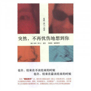 突然，不再忧伤地想到你——麦琪（英儿）的诗（精装塑封）学校图书馆配图1