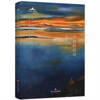 当代诗人自选诗：《星星》历届年度诗歌奖获奖者书系：诗想的踪迹（精装塑封） 学校图书馆配