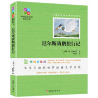 新美悦读·外国儿童文学佳作文库--尼尔斯骑鹅旅行记(彩插) 学校图书馆配