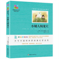 新美悦读·外国儿童文学佳作文库--小矮人闯龙穴(彩插)  学校图书馆配