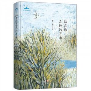 当代诗人自选诗：站在你左边的耳朵(精装塑封)  学校图书馆配图1