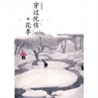 穿越忧伤的花季（塑封）青春校园文学  学校图书馆配