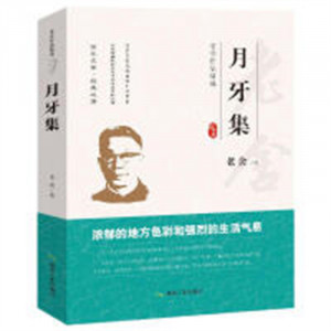 老舍作品精选--月牙集  中国长篇小说著名小说文学 学校图书馆配图1