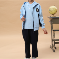 中小学生新款春秋装班服校服套装