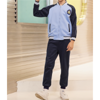 中小学生新款春秋装班服校服套装