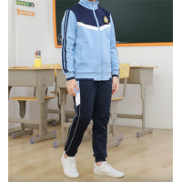 中小学生新款春秋装班服校服套装