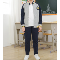 中小学生新款春秋装班服校服套装