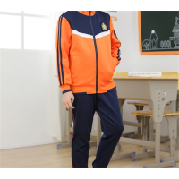中小学生新款春秋装班服校服套装