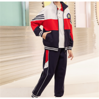 中小学生新款春秋装班服校服套装