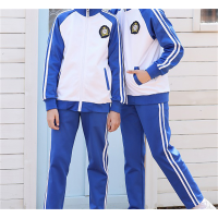 中小学生新款春秋装班服校服套装