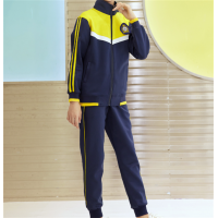 中小学生新款春秋装班服校服套装