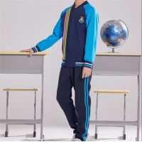 中小学生新款春秋装班服校服套装