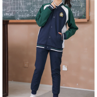 中小学生新款春秋装班服校服套装