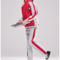 中小学生新款春秋装班服校服套装