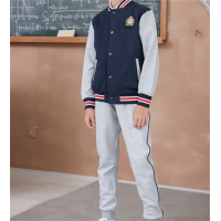 中小学生新款春秋装班服校服套装