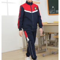 中小学生新款春秋装班服校服套装