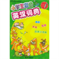 小学生彩图英汉词典  学校图书馆配