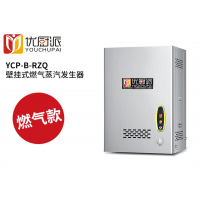 商用大功率电热挂壁式燃气蒸汽发生器外接中央厨房食品加工