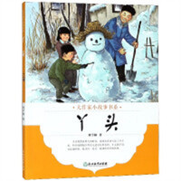 大作家小故事书系：丫头（教育部推荐） 提供写作能力 学校图书官配