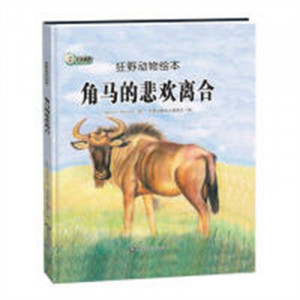 狂野动物绘本：角马的悲欢离合（精装绘本）幼儿读物图画故事书  学校图书馆配图1