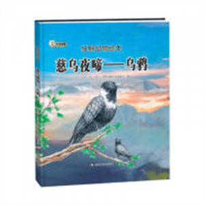 狂野动物绘本：慈乌夜啼--乌鸦（精装绘本）幼儿读物图画故事书  学校图书馆配图1
