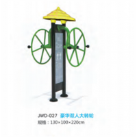 双人大转轮户外运动健身器材小区公园公共运动锻炼体育器械