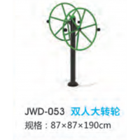 双人大转轮户外运动健身器材小区公园公共运动锻炼体育器械