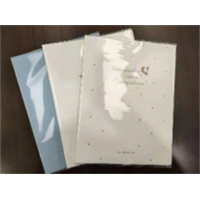 简约创意精致学生办公用品专用有课有本刀刀狗系列资料册40页