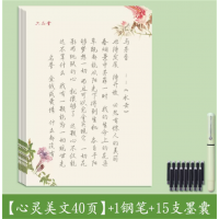 字帖练字行楷手写体字体漂亮钢笔硬笔书法临摹古诗词练字帖行书