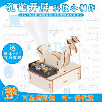 孔雀开屏益智拼装玩具科学实验套装儿童玩具科技