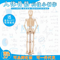 人体骨骼科教前沿益智拼装玩具儿童玩具