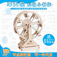 摩天轮科教前沿益智拼装玩具儿童玩具