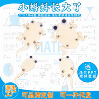 蝌蚪长大了科教前沿益智拼装玩具儿童玩具