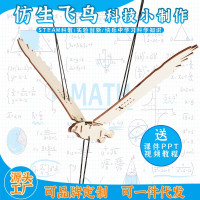 仿生飞鸟益智拼装玩具科学实验套装儿童玩具科技