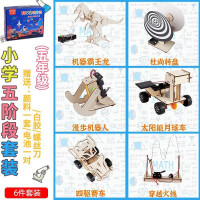 小学第五阶段6件套益智玩具小学生儿童科学实验套装