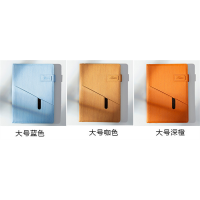 新款高档商务笔记本记事本皮面本中小学生日记本办公备忘录本