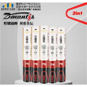 羽毛球12只装耐打王飞行稳定不易打烂鸭鹅毛防风室外训练比赛用球