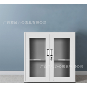 铁皮小柜子矮柜对开玻璃门办公室档案室专用储物柜资料柜文件存放柜